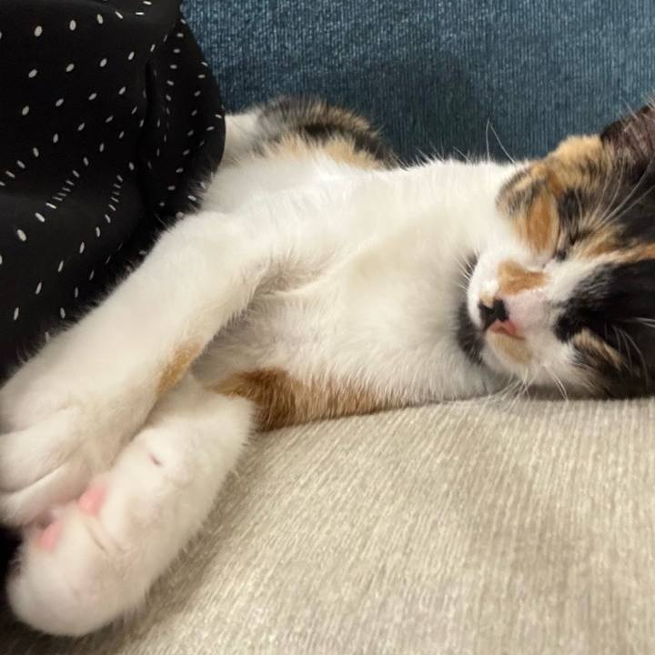 C0233438 7821 4cd7 a41e d7388b7d5d17 1758958802987