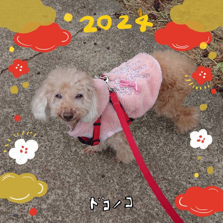 C0233be2 e9a2 44eb abec 3d64aae8c86b 1704286644025