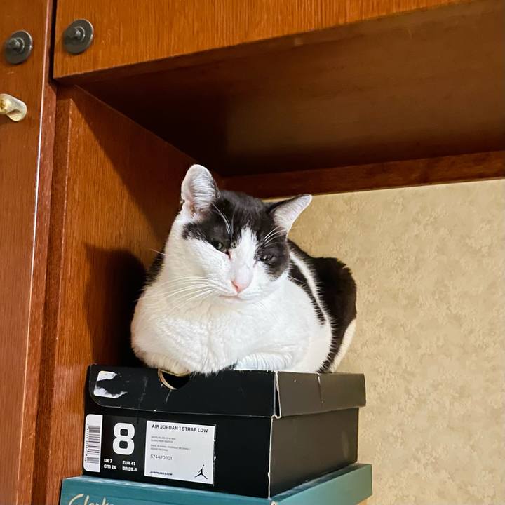 C02348b5 fe3f 4907 8b1b 7d26b094c9da 1652409679776