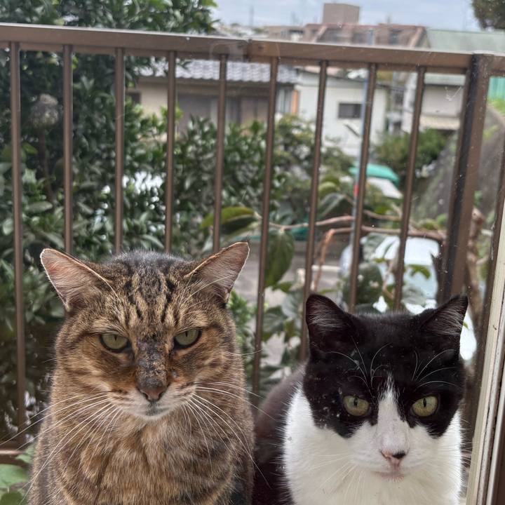 C0235d4d 41df 435e 9dda 579178fdf3b2 1761004864998