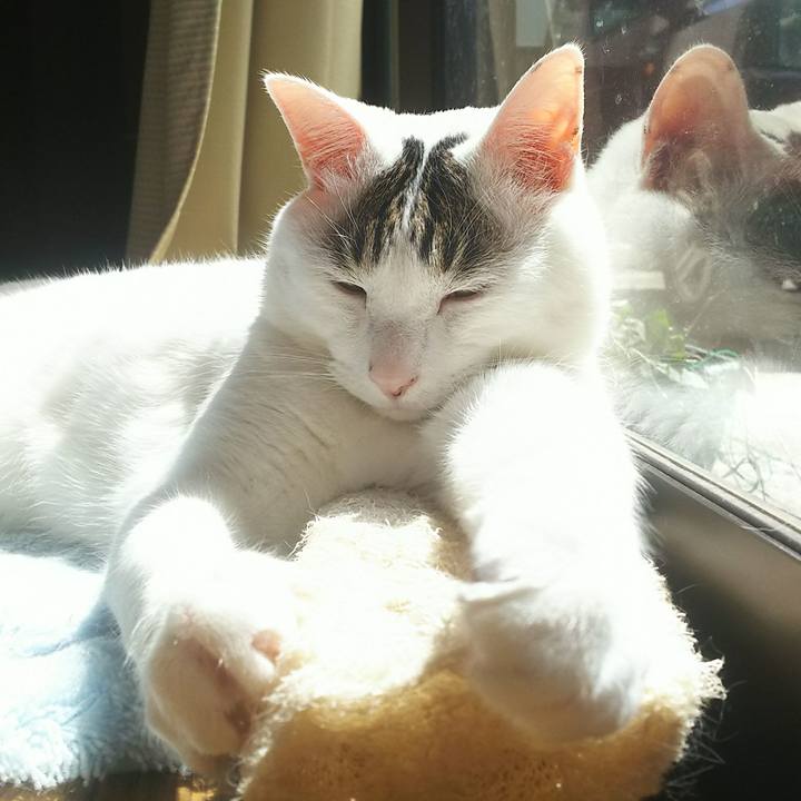 C0237c48 6ab9 4505 a629 6b4609655214 1523513203447