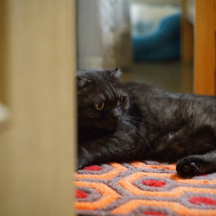 C023b9f3 a59f 4794 b725 f51e69ce55ef 1595344841823