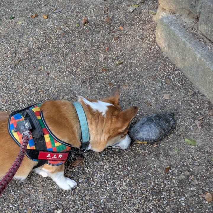 C023bf84 719d 4d70 9f27 6662c322e47a 1749378532792