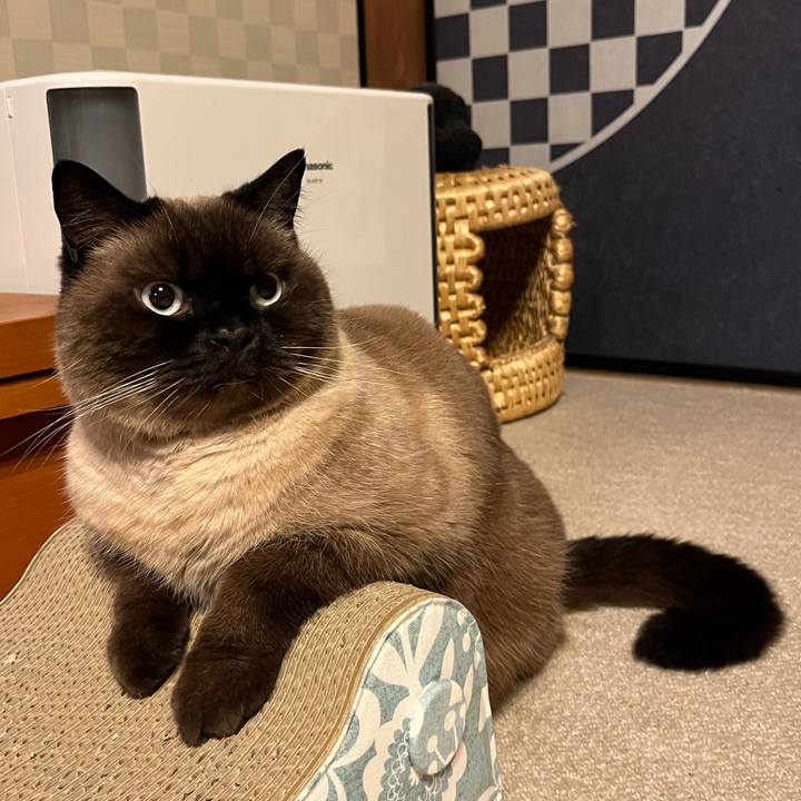 C0241549 4585 477f bc05 3bb0c3955b62 1705808484183