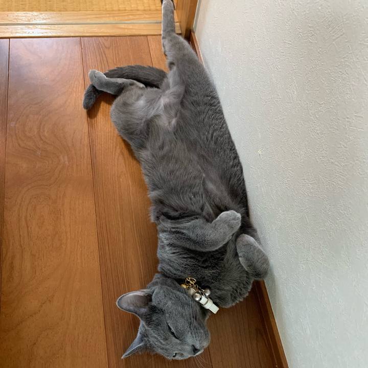 C024437e b44d 4d75 98c5 99b24985613f 1655528680906