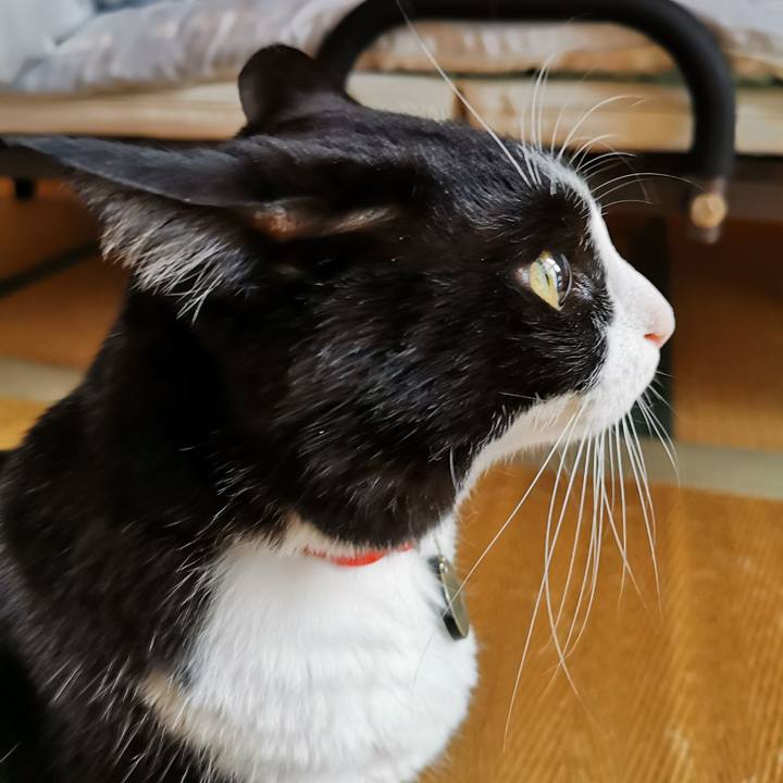 C024d5e0 21bd 46db 9ad8 8116f0fdaa70 1666063838806