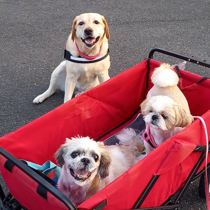 C024efac dc88 4e33 b106 ce5ec34e12dd 1598237463228