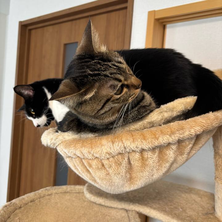 C024f72c b61e 4f14 bb9b 35498cbcc548 1773200220978