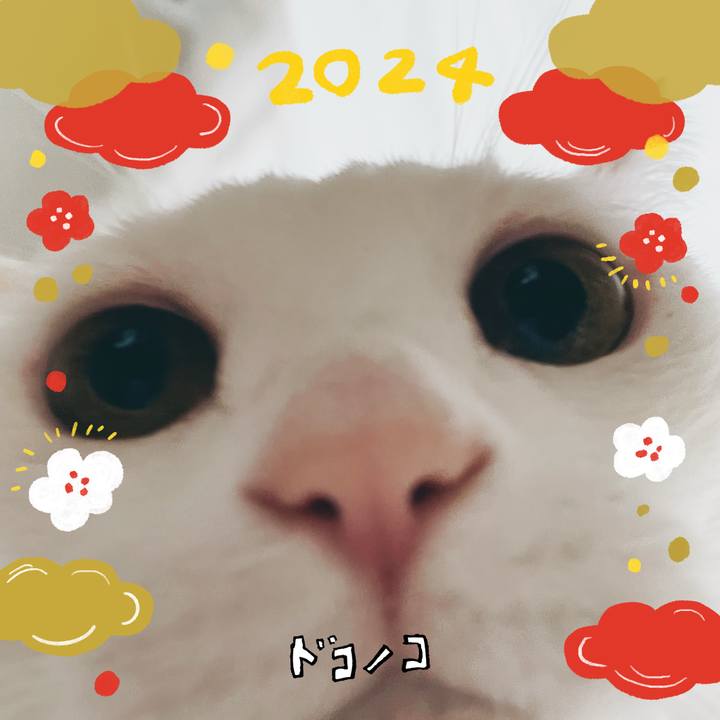 C024fc00 e00a 49b1 ae04 3422013348cf 1704126749822