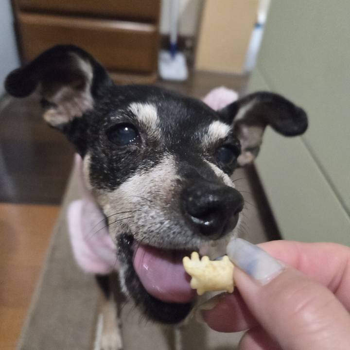 C024ff7f 3fa6 4646 a424 a668a2b543e5 1772740128722