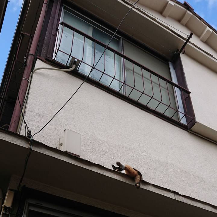 C0255ea9 cd63 419d 8913 13fe9214f159 1600125709433