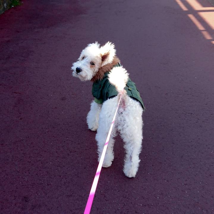 C0256e66 8dec 40a0 abf7 e39fd872a17d 1515720484046