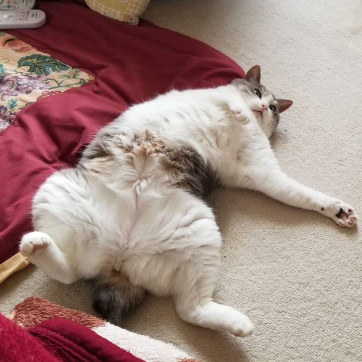 C0258f58 b142 4d8d b9d9 4a7597e565ab 1653349119269