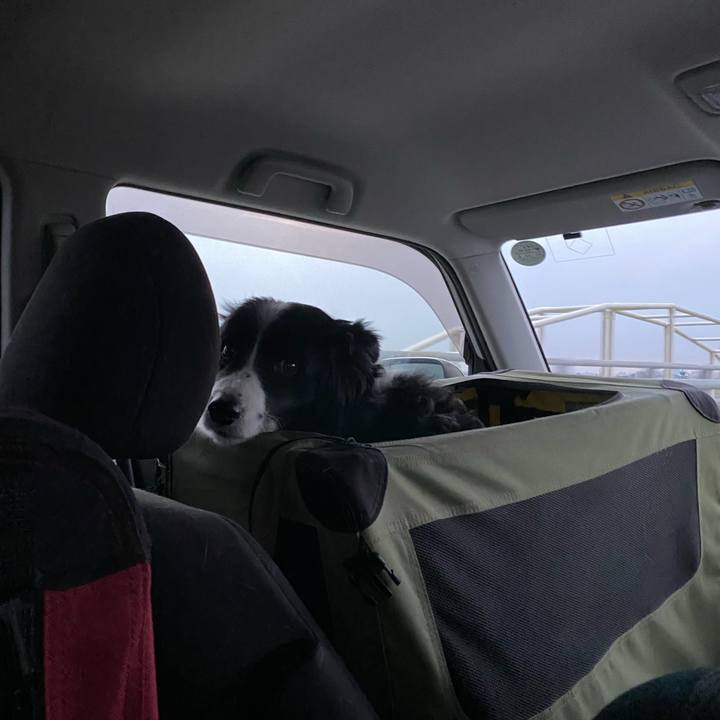 C025d109 e420 47a5 80d3 bf2fcfe76999 1644877990862