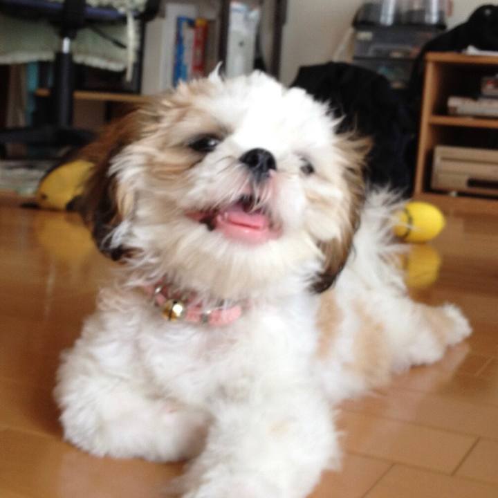 C025e244 0767 4cdf bffa 2c024731ac5c 1566186934463