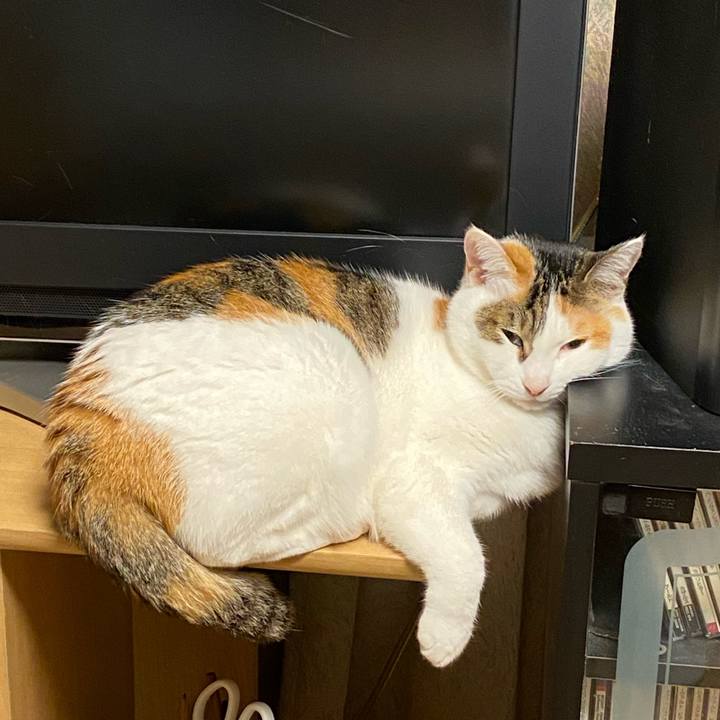 C0260c3c 30cd 41ad ac9a efdd8f761a87 1765104195031