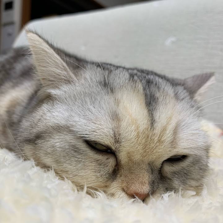 C0260c6c 5145 42c4 ad79 1123b2e0ea01 1707488965913