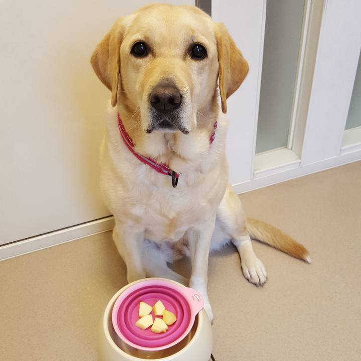 C0262609 6ce3 427d a9b5 0b2152ebac21 1546227624501