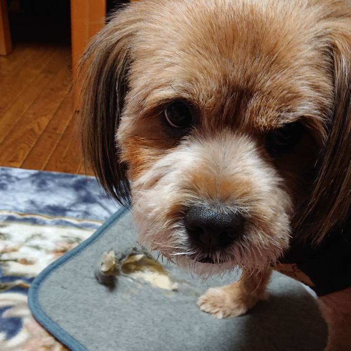 C02627fd 4cf4 4ce0 a19b c486b7e7c9c2 1579520117258