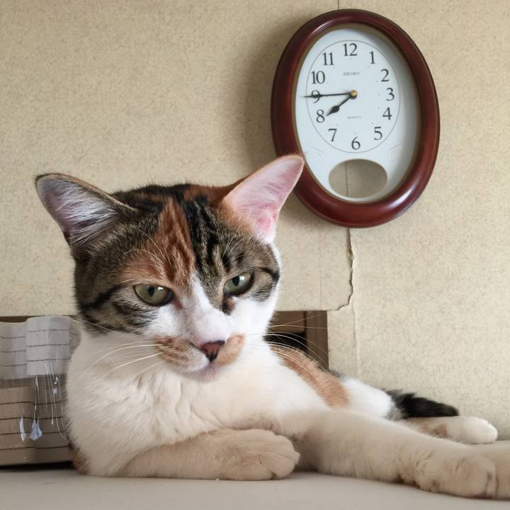 C0263184 7f3f 4c5b 8924 146454d230e2 1649630772879