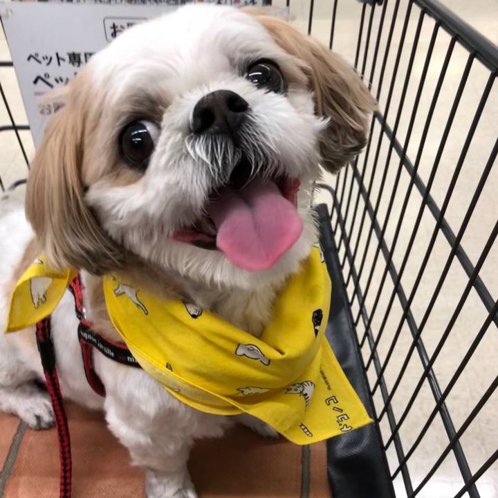 C0265084 d28b 4c89 819a be15b7d73e03 1565572459694