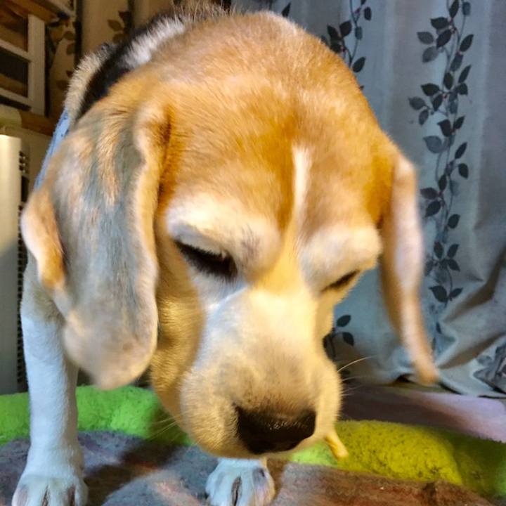 C026509d 4792 49a0 9f43 2c49f55c8c10 1559398590988