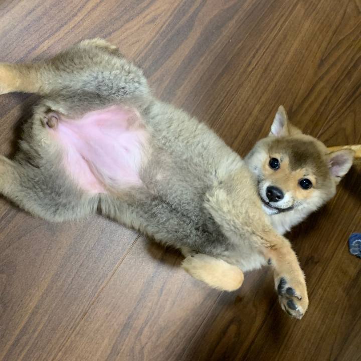 C026896c f57b 439c bafb bb6f2d0ea7d7 1617880741468