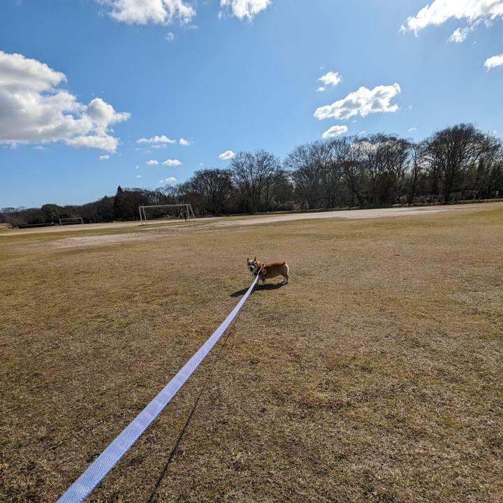 C0269fd7 ab28 4fb8 882c f86c572051af 1706236059007