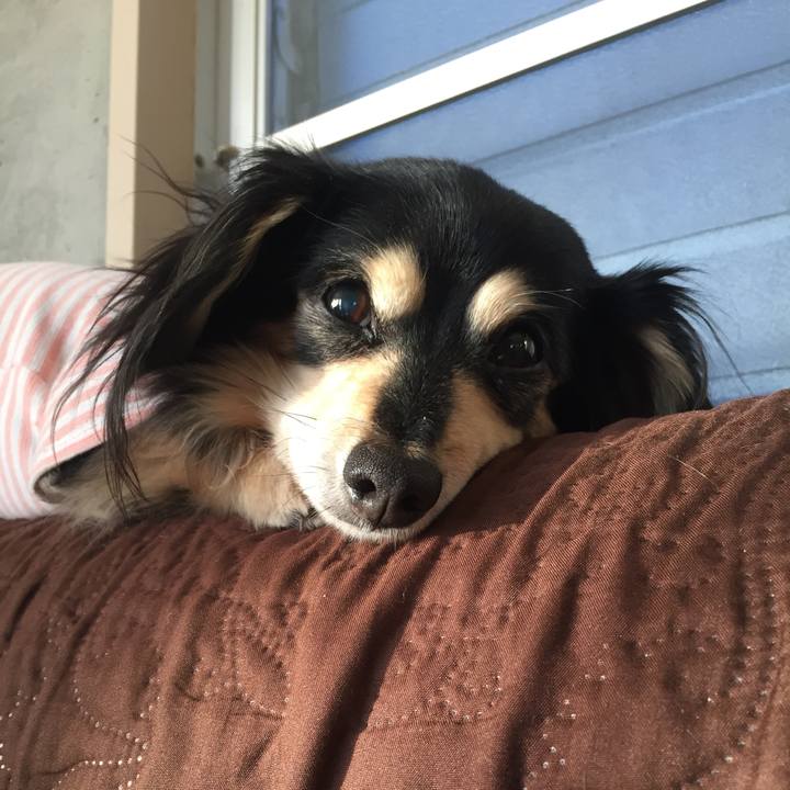 C026c39a b52b 4356 bb8d d654b81adbb1 1514588008319