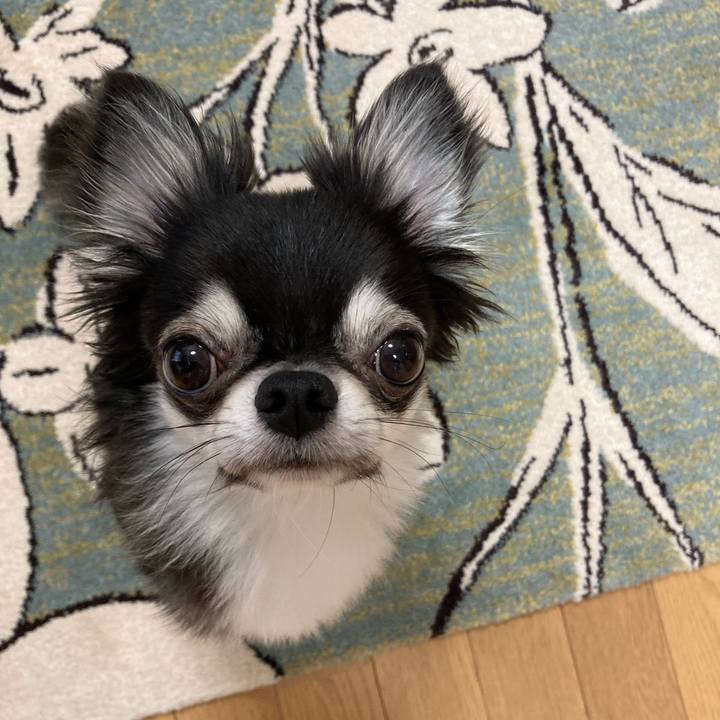 C0273559 d628 4281 a3f3 e37fd9d86e17 1631336271703