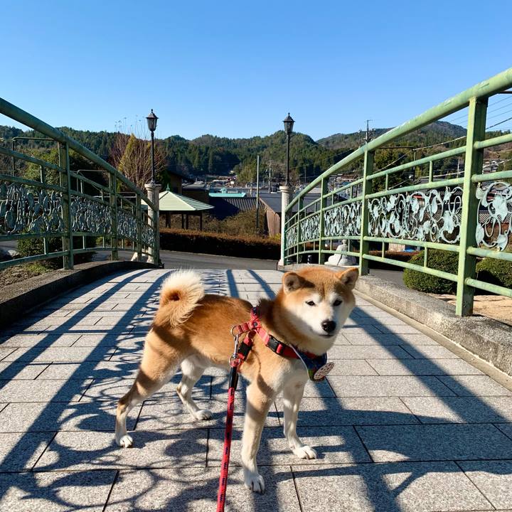 C027468c b738 409c 95ea d13ad467b587 1639568961210