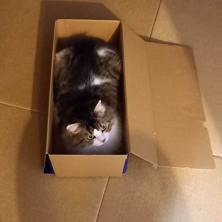 C0274c63 3305 4d58 ac67 24d8c69e3cb9 1630313856251