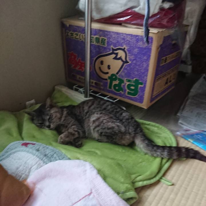 C027a845 db7d 4a66 8df2 f2a17cb380fe 1597006003515