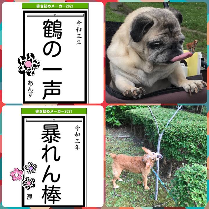 C027c184 6c80 4c8f 9d6a b045db54ecb6 1609506339174