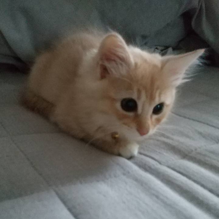 C027ca4b 0255 4a83 8778 f81ddd152298 1604007767651