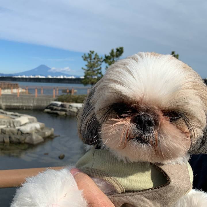 C027cc6b 1a24 4028 8d3d 65c419e7009b 1608523238522