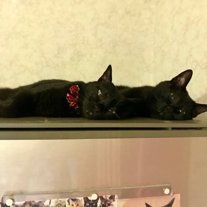 C027edd4 d9e9 4011 8312 57bc16482b60 1557063950579