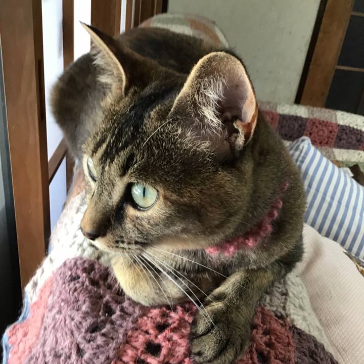 C027f782 4d50 49f3 b067 e947ae0992fc 1593674154699