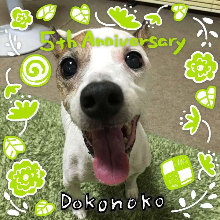 C027fd21 51d9 4d39 8f80 37fe2846d8ab 1622955110230