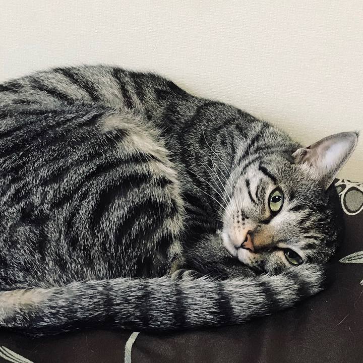 C02819da 7d1d 43fe bbfe d6bb3823a58d 1586741178358