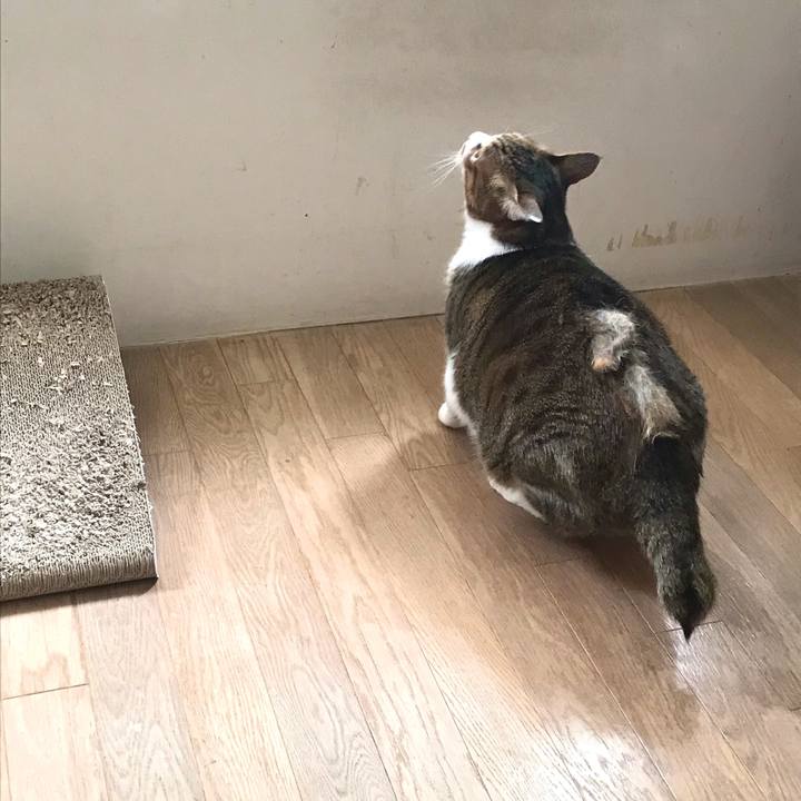 C0282f98 c2c0 4189 aed5 ba3fbcf37974 1616213335195