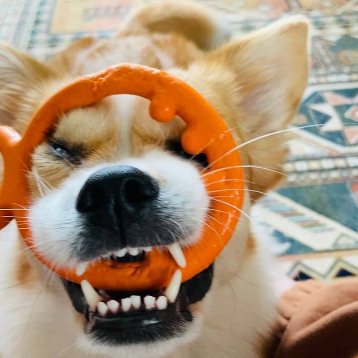 C0283852 bceb 468c 87b2 4bd07fe7c2c7 1621079762903