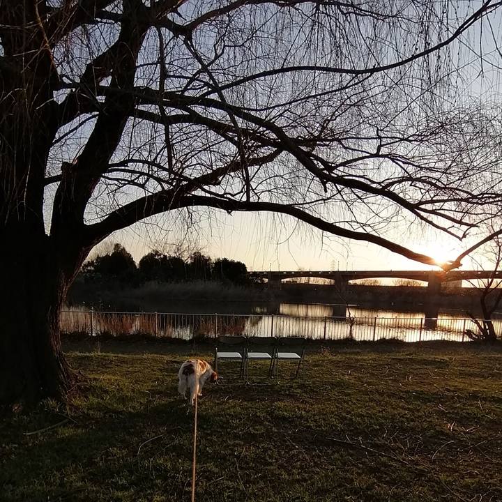 C0286954 661a 4fcc 9da7 b437a0349b84 1582112581633