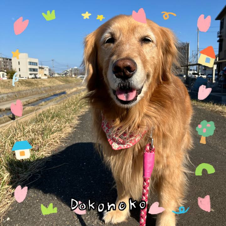 C028b550 2dfd 4175 a06a 7a7ce6537d58 1741585381434