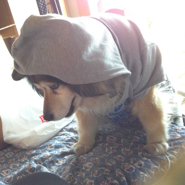 C028c544 7464 48a5 a830 6a0efa97d2a0 1619873032781