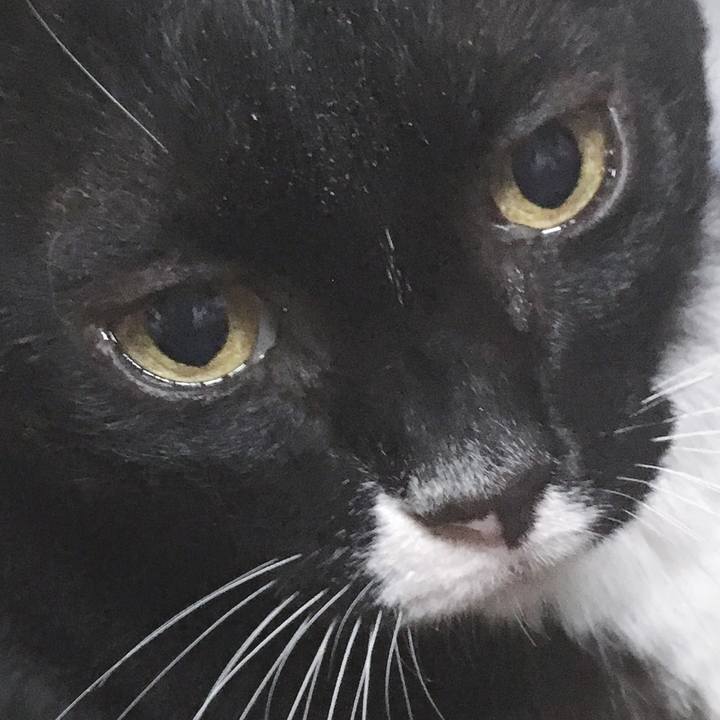 C028dd51 f5da 4701 9ac2 8d886a04b8dd 1569144946628