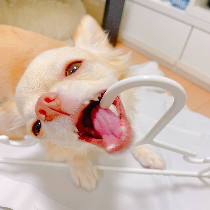 C0292746 457e 4d56 a635 419f748b939e 1633082437971