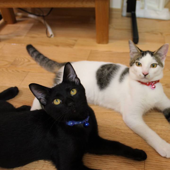 C02944a3 74e2 465e b758 c30b292b4fa0 1573218003762