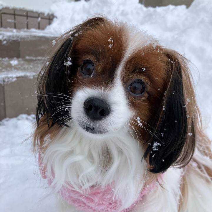 C0294da7 6228 45a1 9d87 55465dffcdb7 1738798864056