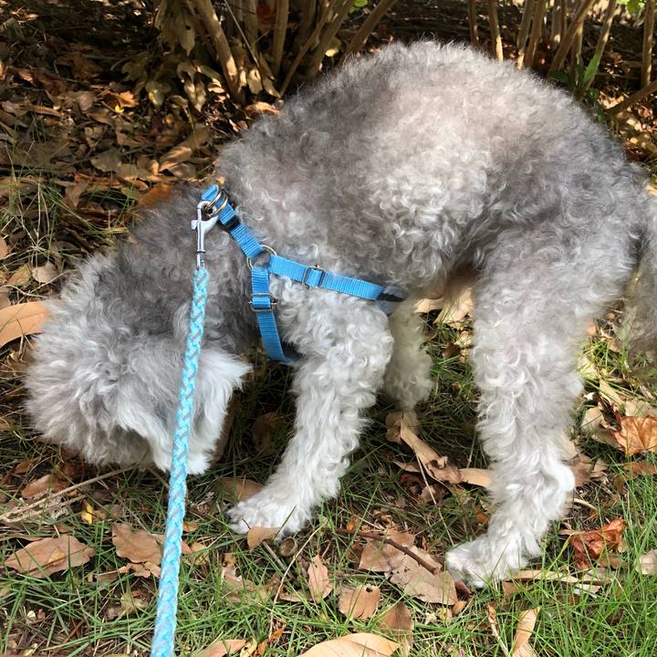 C0295f50 d934 4332 985b 6a1d7aaf565f 1570435629160